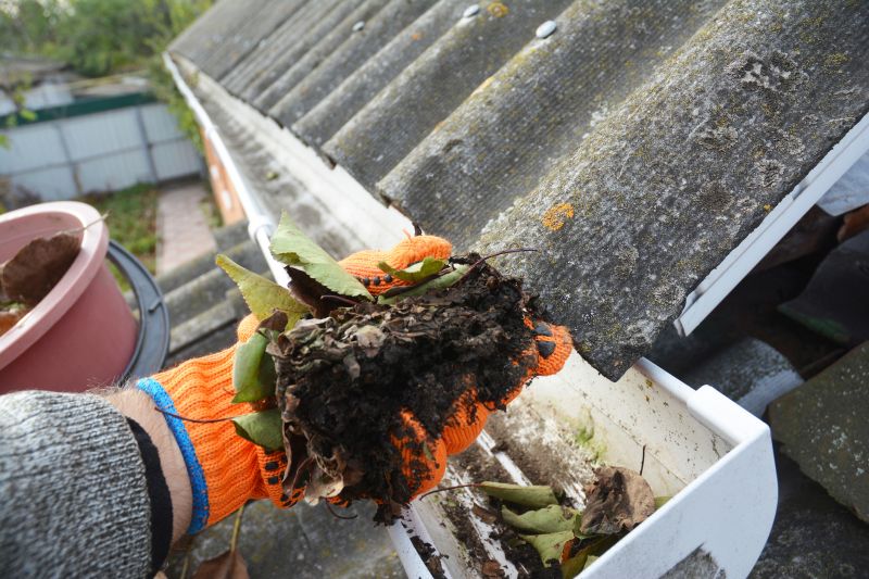 Debris-Free Gutters